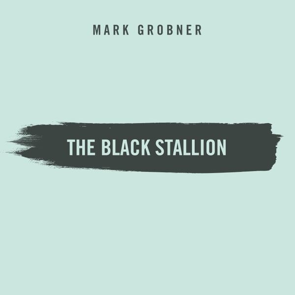 Cover art for The Black Stallion